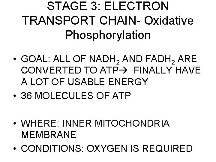 STAGE 3: ELECTRON TRANSPORT CHAIN- Oxidative Phosphorylation • GOAL: ALL OF NADH 2 AND STAGE 3: ELECTRON TRANSPORT CHAIN- Oxidative Phosphorylation • GOAL: ALL OF NADH 2 AND