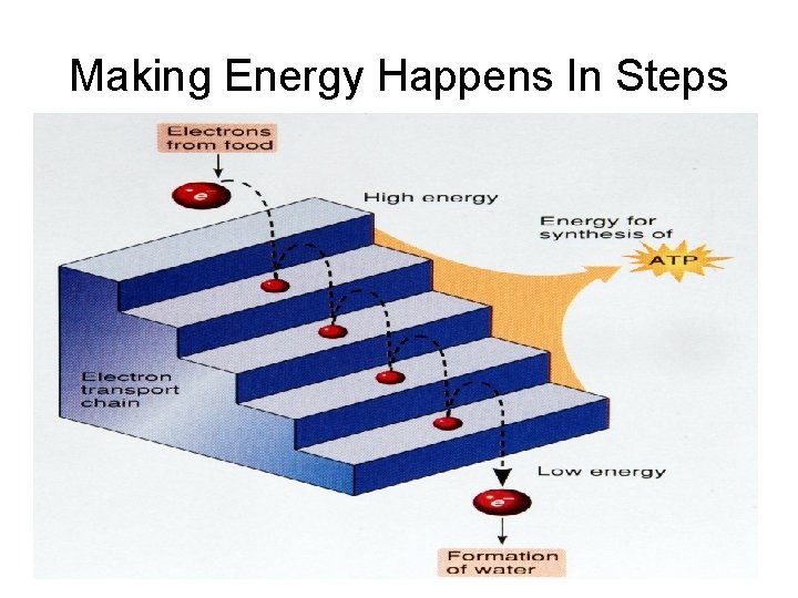 Making Energy Happens In Steps Making Energy Happens In Steps