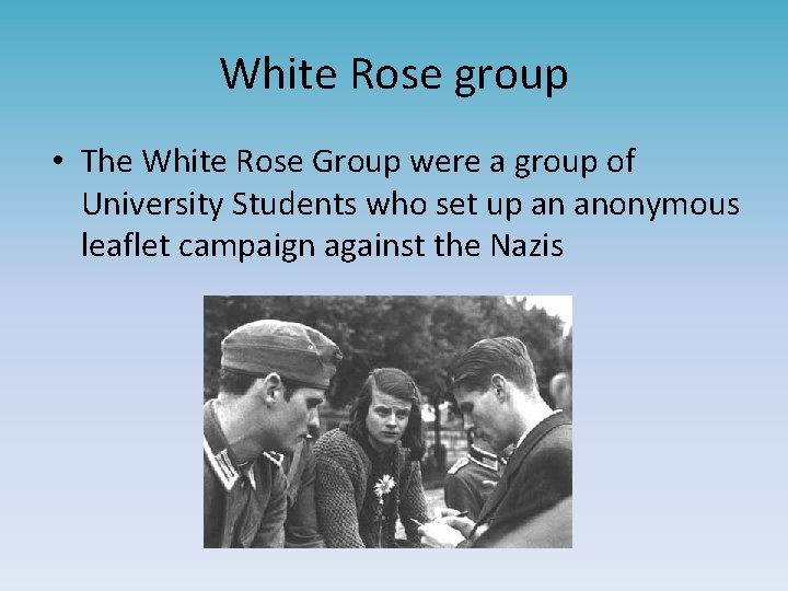 White Rose group • The White Rose Group were a group of University Students