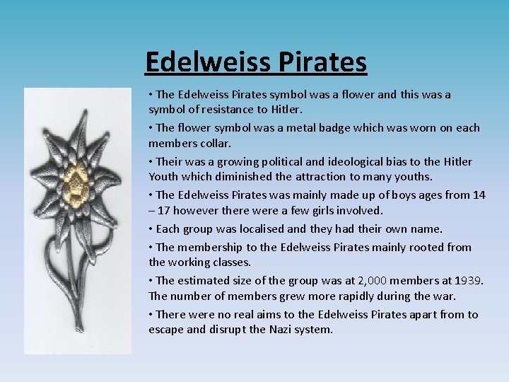 Edelweiss Pirates • The Edelweiss Pirates symbol was a flower and this was a