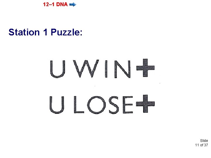 12– 1 DNA Station 1 Puzzle: Slide 11 of 37 