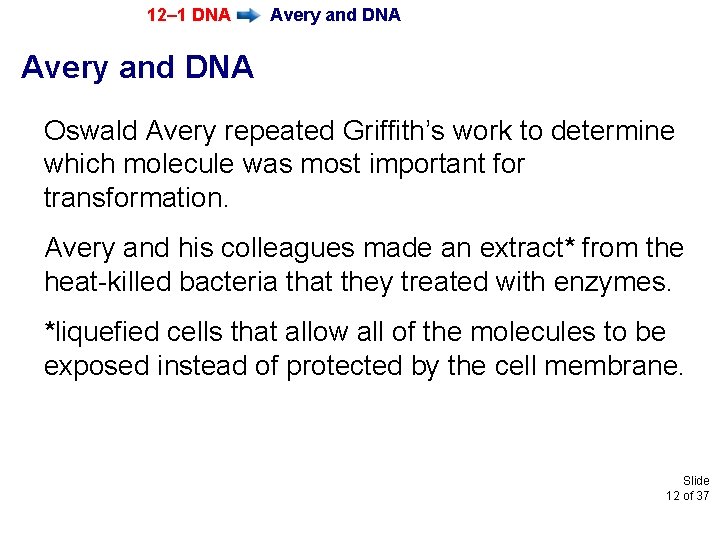 12– 1 DNA Avery and DNA Oswald Avery repeated Griffith’s work to determine which