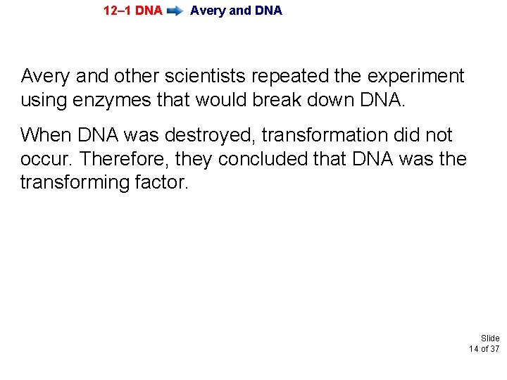 12– 1 DNA Avery and other scientists repeated the experiment using enzymes that would