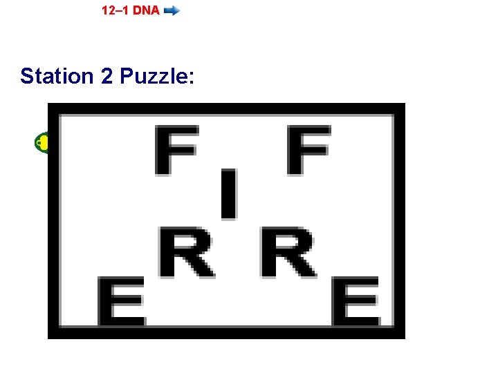 12– 1 DNA Station 2 Puzzle: 