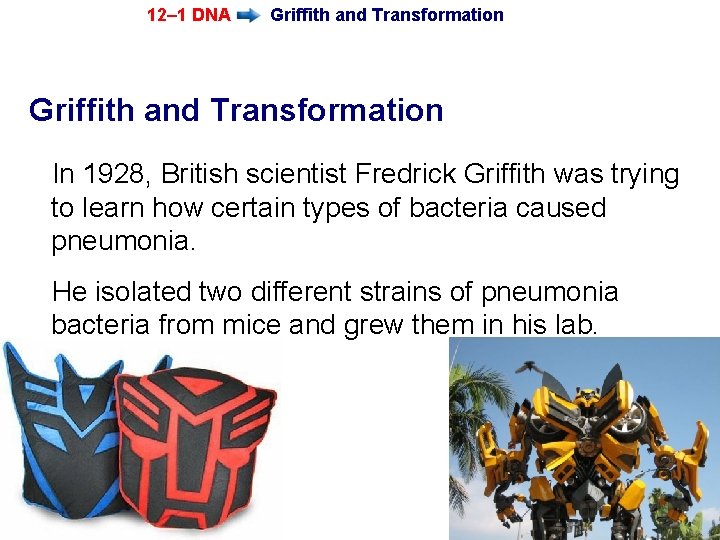 12– 1 DNA Griffith and Transformation In 1928, British scientist Fredrick Griffith was trying