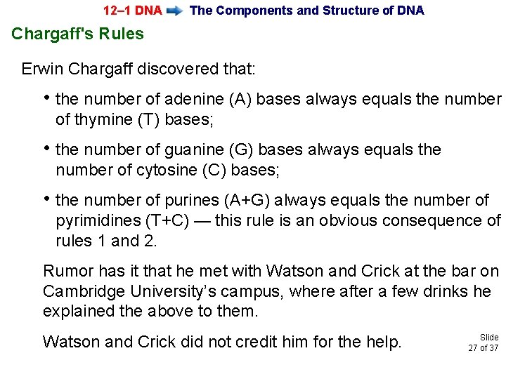 12– 1 DNA The Components and Structure of DNA Chargaff's Rules Erwin Chargaff discovered