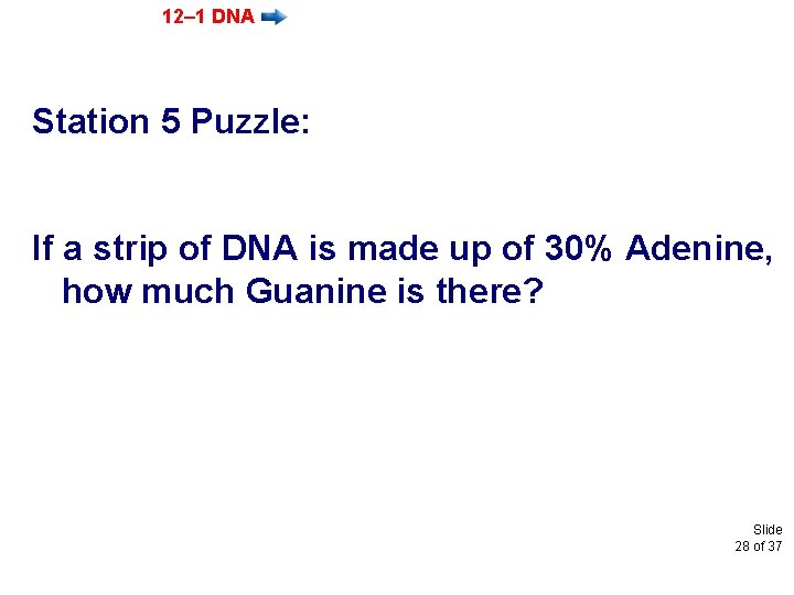 12– 1 DNA Station 5 Puzzle: If a strip of DNA is made up