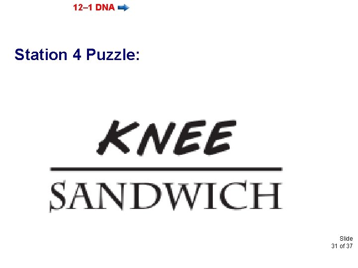 12– 1 DNA Station 4 Puzzle: Slide 31 of 37 