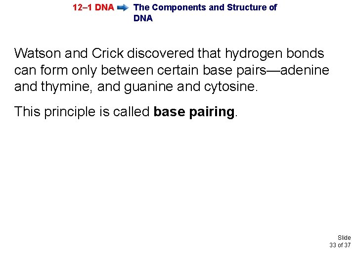 12– 1 DNA The Components and Structure of DNA Watson and Crick discovered that