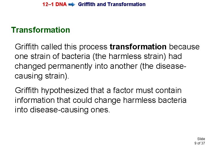 12– 1 DNA Griffith and Transformation Griffith called this process transformation because one strain