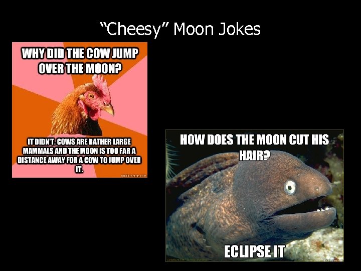 “Cheesy” Moon Jokes 20 