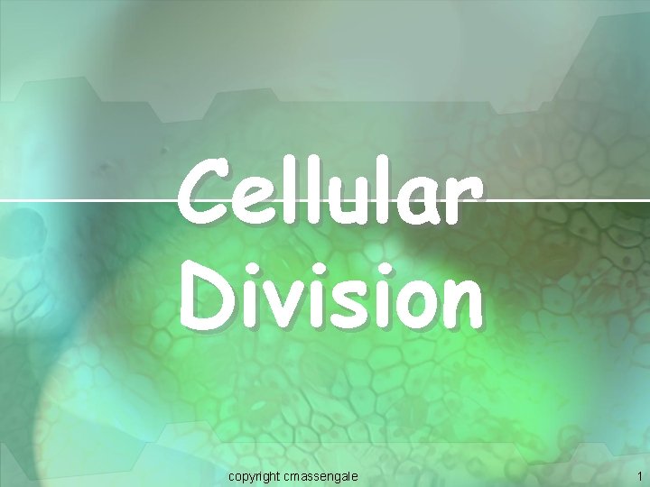 Cellular Division copyright cmassengale 1 