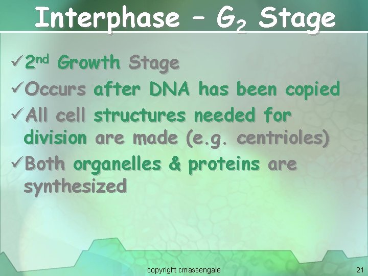 Interphase – G 2 Stage ü 2 nd Growth Stage üOccurs after DNA has