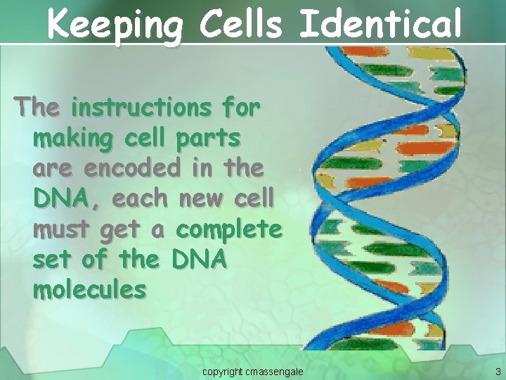 Keeping Cells Identical The instructions for making cell parts are encoded in the DNA,