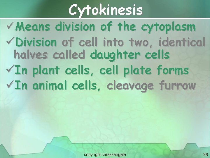 Cytokinesis üMeans division of the cytoplasm üDivision of cell into two, identical halves called