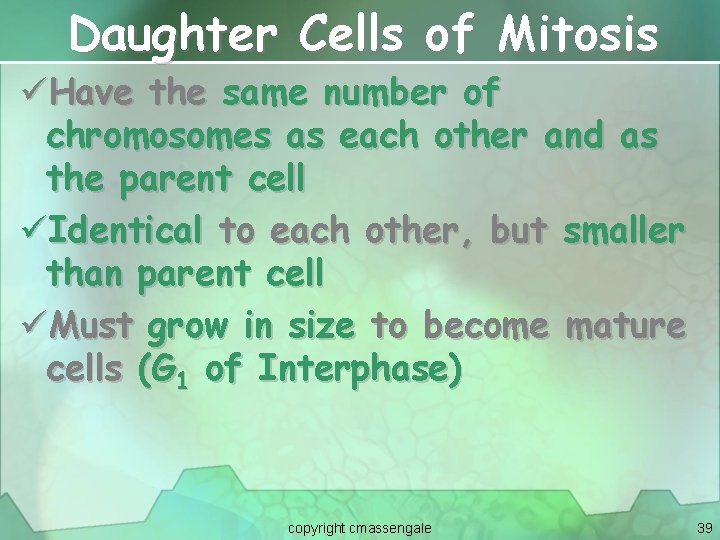 Daughter Cells of Mitosis üHave the same number of chromosomes as each other and