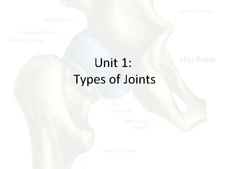 Unit 1: Types of Joints 