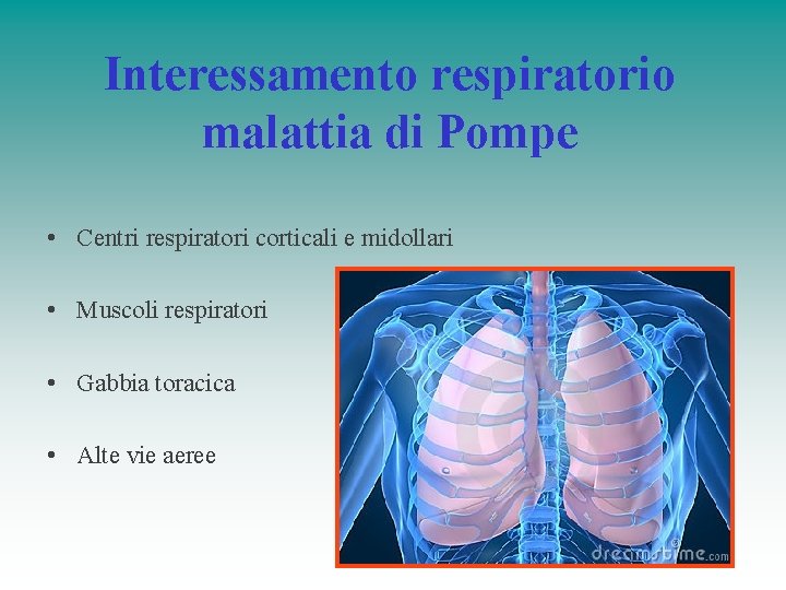 Interessamento respiratorio malattia di Pompe • Centri respiratori corticali e midollari • Muscoli respiratori