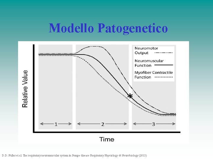 Modello Patogenetico D. D. Fuller et al. The respiratory neuromuscular system in Pompe disease