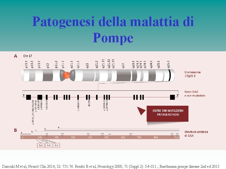 Patogenesi della malattia di Pompe Il gene della GAA e la sua proteina Dasouki