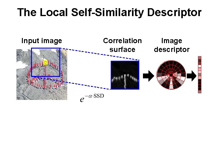 The Local Self-Similarity Descriptor Input image Correlation surface Image descriptor 