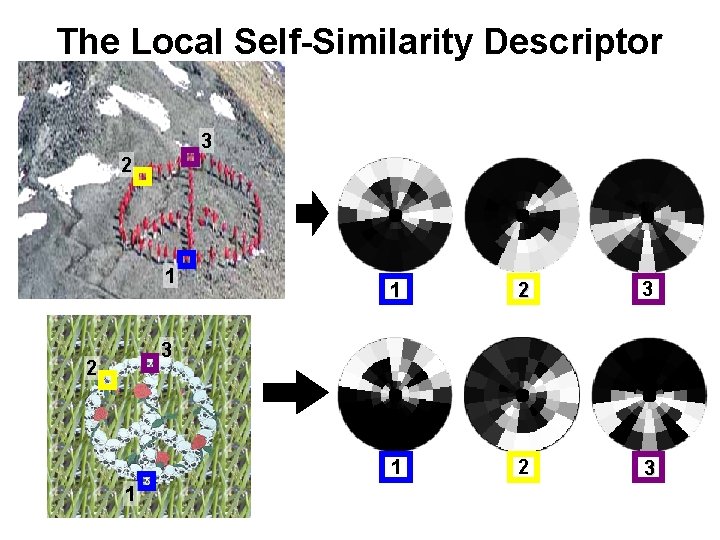 The Local Self-Similarity Descriptor 3 2 1 1 2 3 3 2 1 