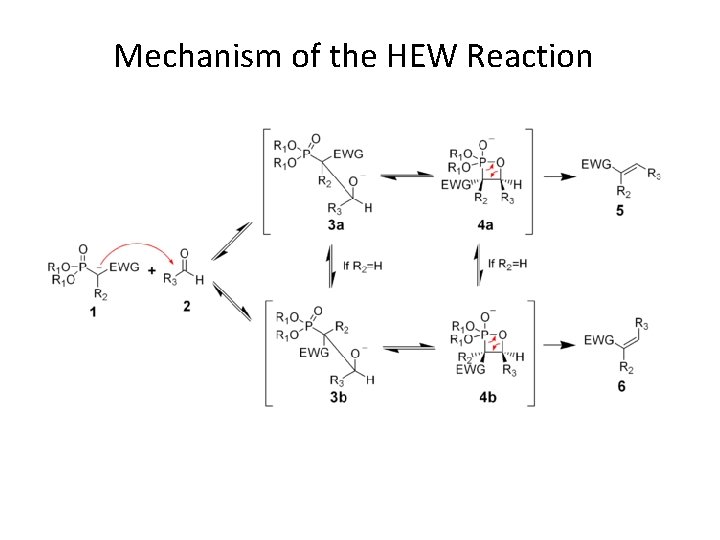 Mechanism of the HEW Reaction 