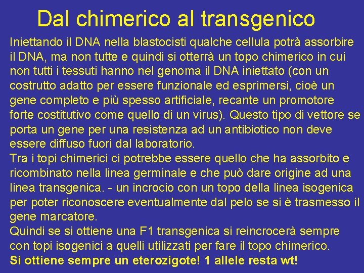 Dal chimerico al transgenico Iniettando il DNA nella blastocisti qualche cellula potrà assorbire il