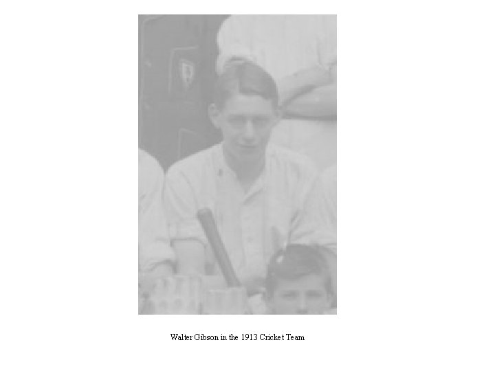 Walter Gibson in the 1913 Cricket Team 