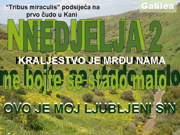 “Tribus miraculis” podsijeća na prvo čudo u Kani Galilea KRALJESTVOJE JEMEĐU MRĐUNAMA OVO JE