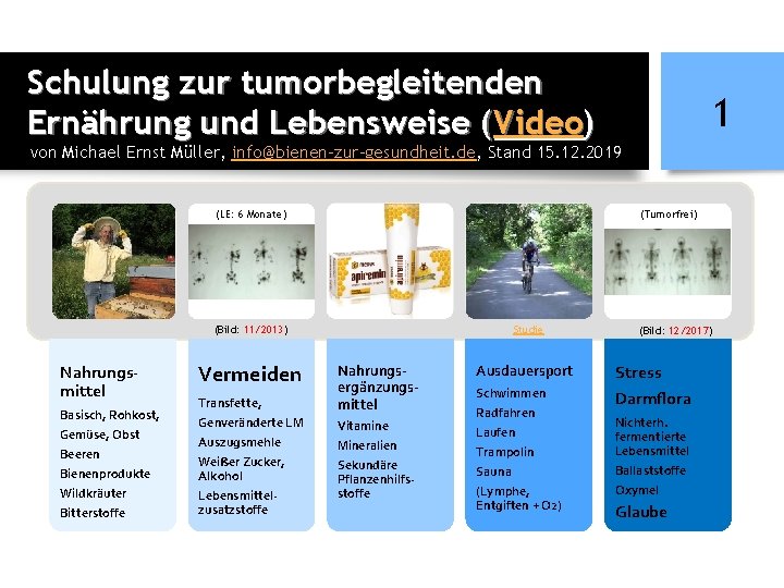 Schulung zur tumorbegleitenden Ernährung und Lebensweise (Video) 1 von Michael Ernst Müller, info@bienen-zur-gesundheit. de,