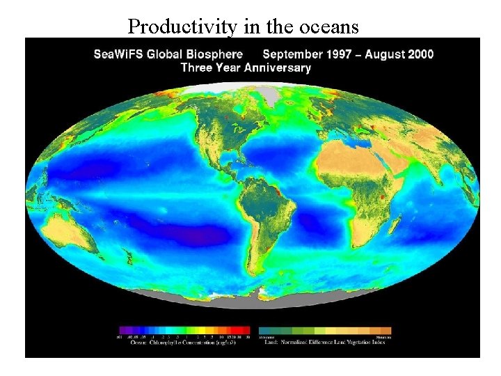 Productivity in the oceans 