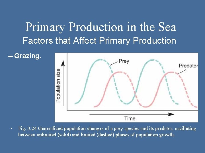 Primary Production in the Sea Factors that Affect Primary Production ôGrazing. • Fig. 3.