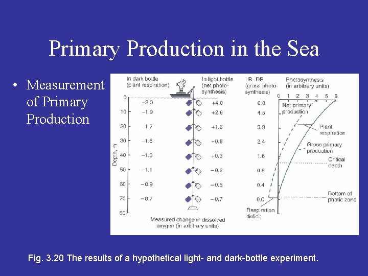Primary Production in the Sea • Measurement of Primary Production Fig. 3. 20 The