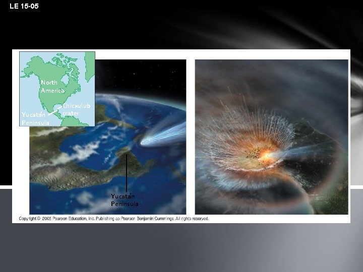 LE 15 -05 North America ¢ Yucatan Peninsula Chicxulub crater ¢ Yucatan Peninsula 