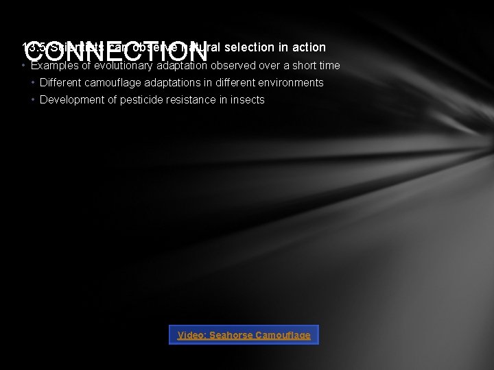CONNECTION 13. 5 Scientists can observe natural selection in action • Examples of evolutionary