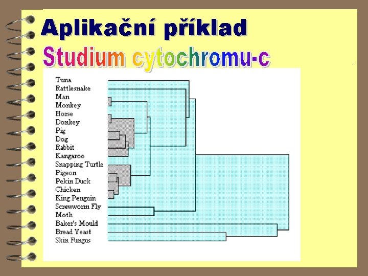 Aplikační příklad 