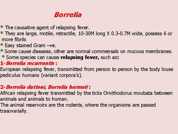 Borrelia * The causative agent of relapsing fever. * They are large, motile, retractile,