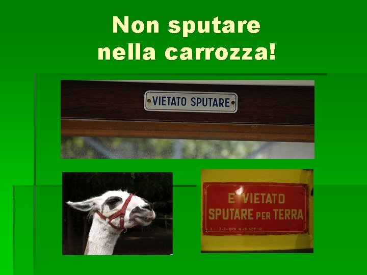 Non sputare nella carrozza! 