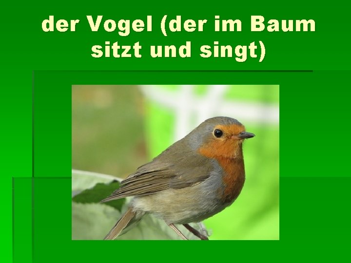 der Vogel (der im Baum sitzt und singt) 