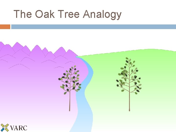 The Oak Tree Analogy 