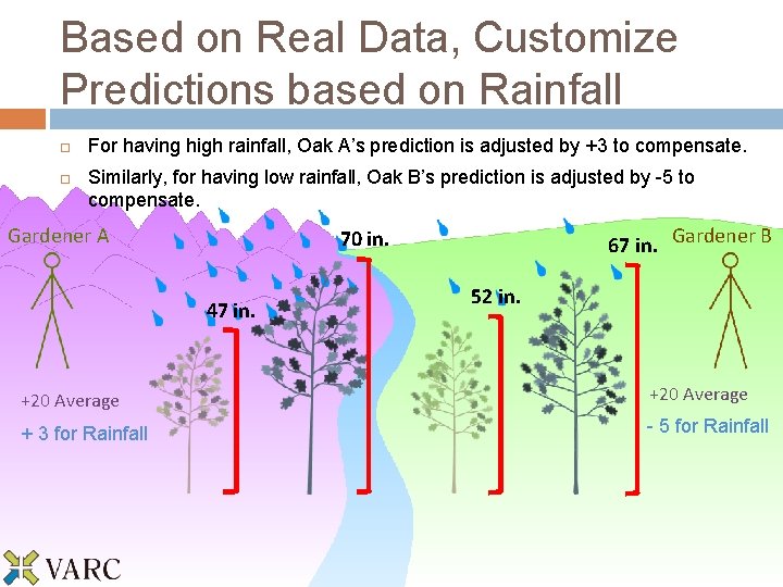 Based on Real Data, Customize Predictions based on Rainfall For having high rainfall, Oak