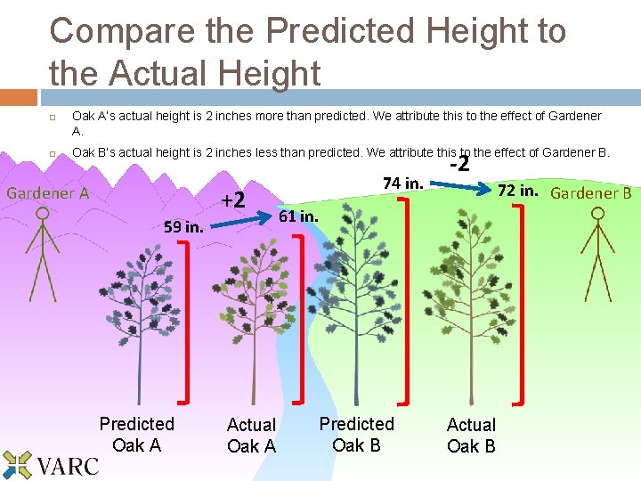 Compare the Predicted Height to the Actual Height Oak A’s actual height is 2