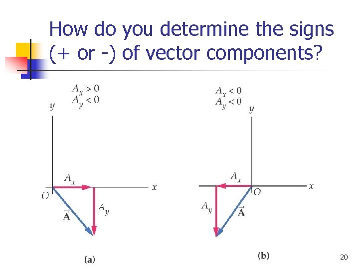 How do you determine the signs (+ or -) of vector components? 20 