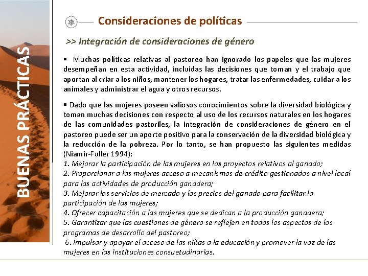 BUENAS PRÁCTICAS Consideraciones de políticas >> Integración de consideraciones de género § Muchas políticas