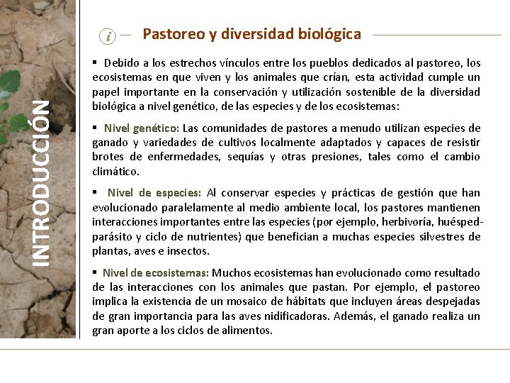 INTRODUCCIÓN i Pastoreo y diversidad biológica § Debido a los estrechos vínculos entre los