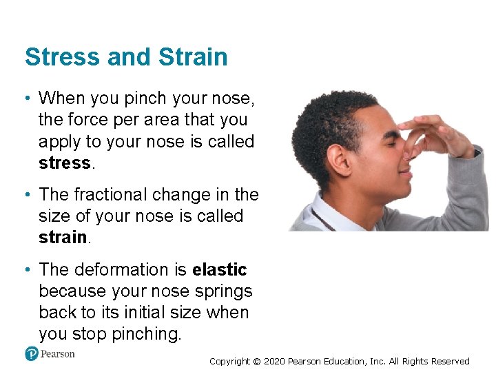 Stress and Strain • When you pinch your nose, the force per area that