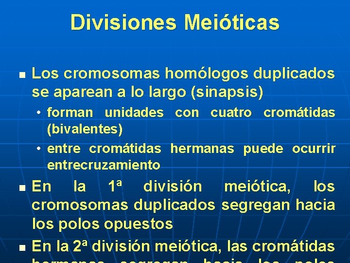 Divisiones Meióticas n Los cromosomas homólogos duplicados se aparean a lo largo (sinapsis) • Divisiones Meióticas n Los cromosomas homólogos duplicados se aparean a lo largo (sinapsis) •