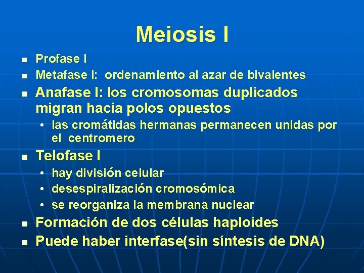 Meiosis I n n n Profase I Metafase I: ordenamiento al azar de bivalentes Meiosis I n n n Profase I Metafase I: ordenamiento al azar de bivalentes