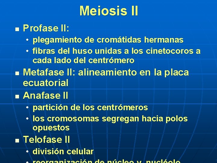 Meiosis II n Profase II: • plegamiento de cromátidas hermanas • fibras del huso Meiosis II n Profase II: • plegamiento de cromátidas hermanas • fibras del huso